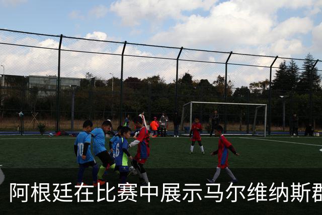 阿根廷在比赛中展示马尔维纳斯群岛横幅或将再遭国际足联制裁